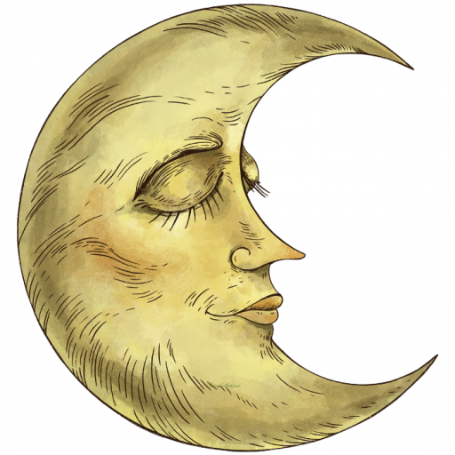 ginny metheral favicon