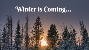 Content Hub winter is coming