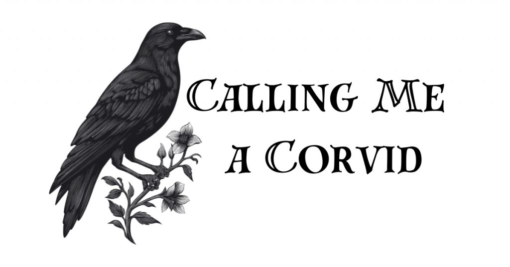 calling me a corvid