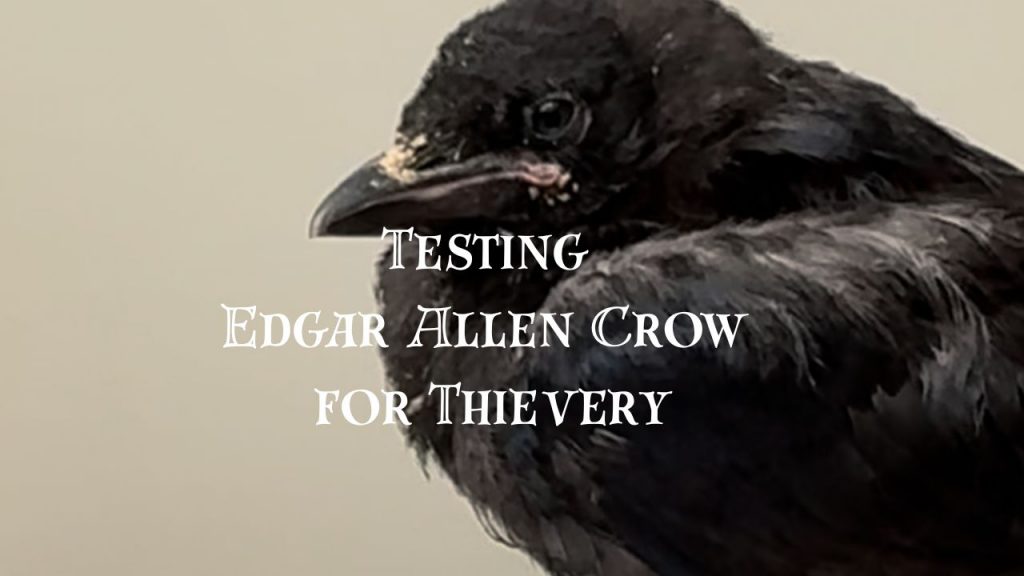 testing edgar allen crow for thievery