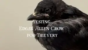 testing edgar allen crow for thievery