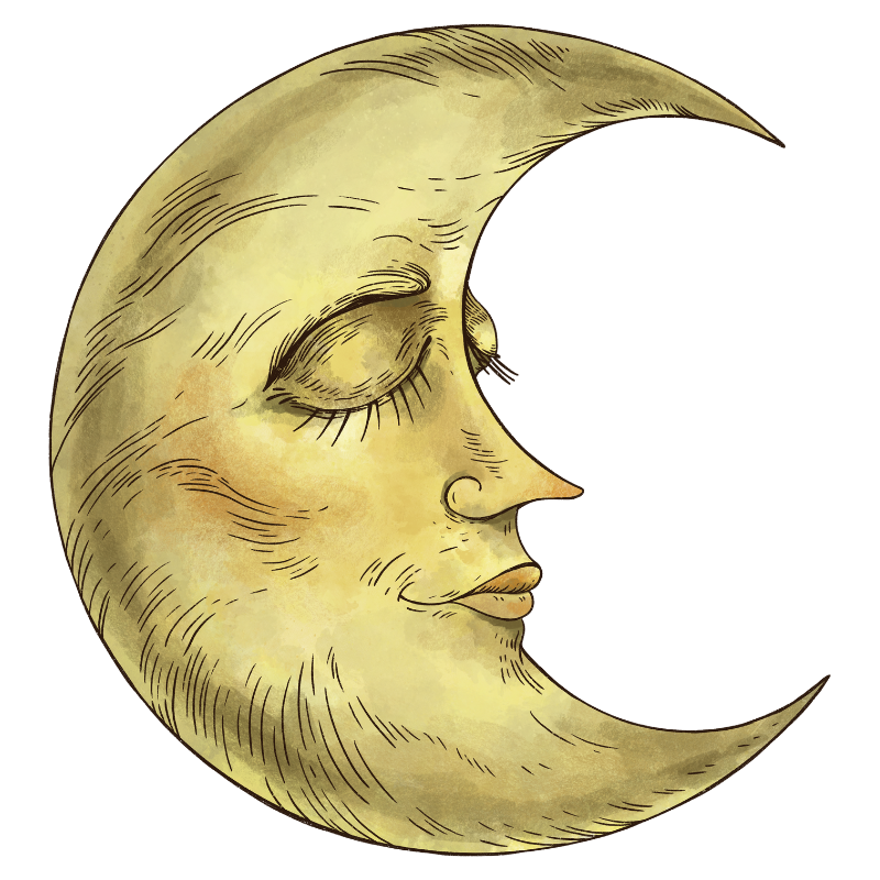 ginny metheral favicon