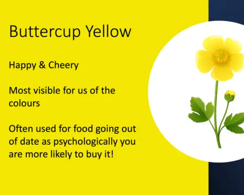 Colour Magick buttercup