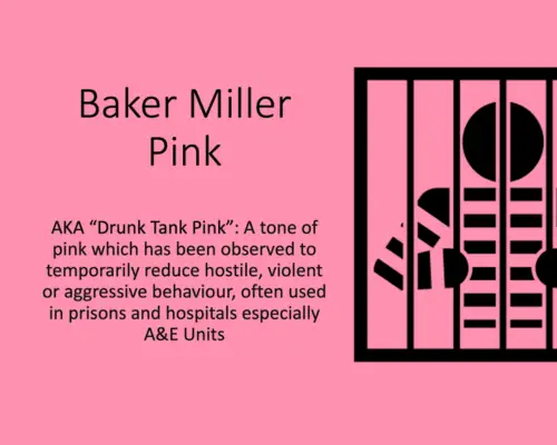 Colour Magick drunk tank pink