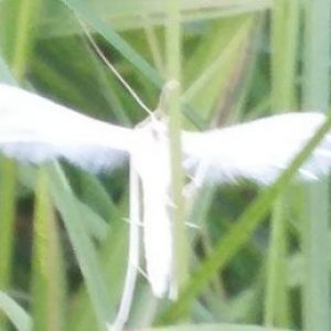 Profile photo of Martina Luise
