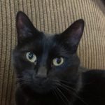 Profile photo of Allison